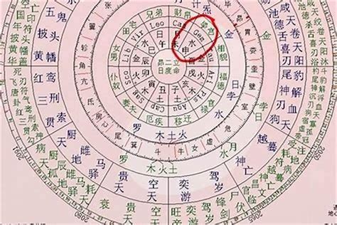 今天的八字|生辰八字查询